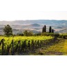 Photo 9 - Toscane